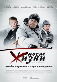 постер После жизни / После жизни;