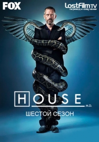 постер Доктор Хаус. Шестой сезон / House M.D. (Season 6);