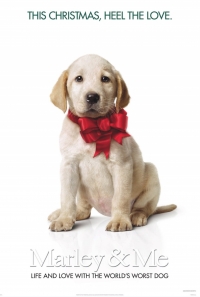 постер Марли и я / Marley & Me;