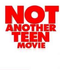 постер Недетское кино / Not Another Teen Movie;