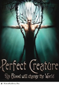 постер Идеальное создание / Perfect Creature;